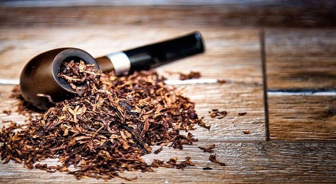 تنباکو چیست؟