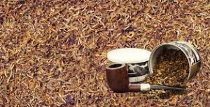 تنباکو چیست؟